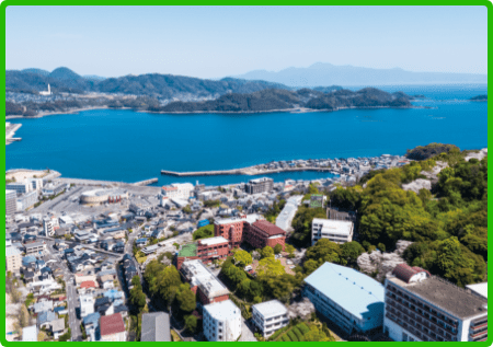 丘のキャンパス