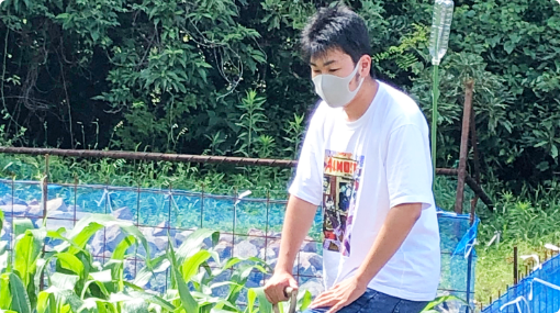 矢野元基