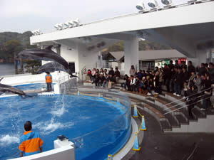 九十九島水族館見学の様子