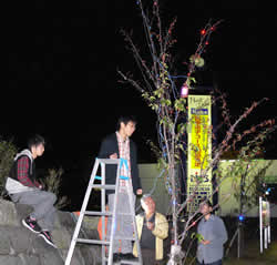 設置作業をする辻教授と学生