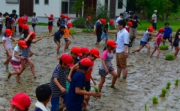 田んぼを歩くだけでも笑顔になる小学生