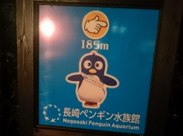 ここから185ｍをライトアップしました