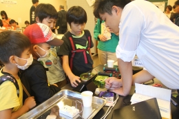 振動模様と振動発電ブース