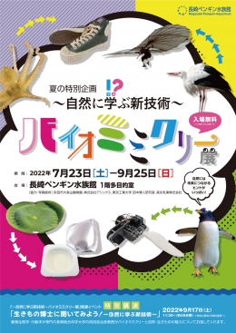 夏の特別企画チラシ
