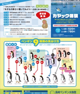 夏の特別企画チラシ